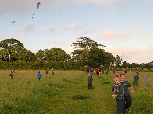 Cub visit kiting